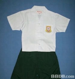 2020最新127個有關校服式樣之價格及商戶聯絡資訊 hk 88db.com