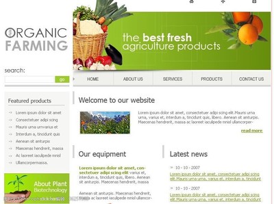 個(gè)性網(wǎng)頁模板設(shè)計(jì) 點(diǎn)亮電子商務(wù)經(jīng)營的視覺引擎